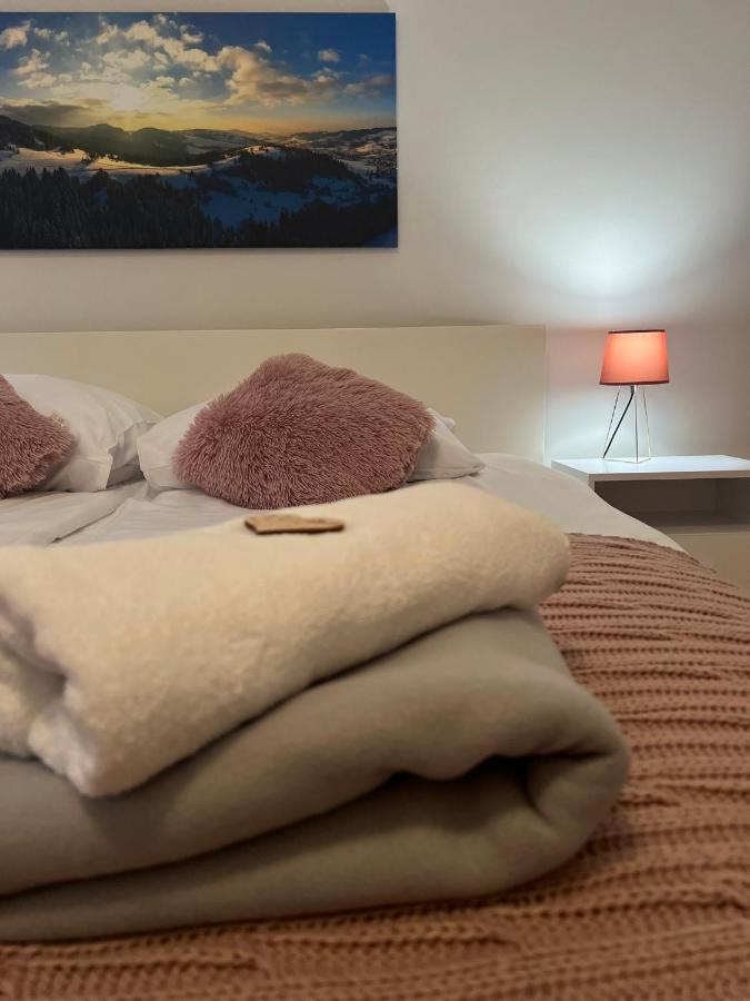Przy Stoku I Potoku Apartman Wisła Kültér fotó