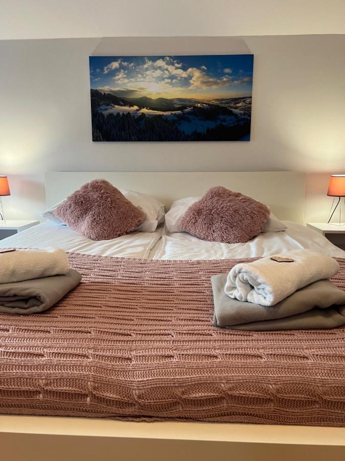 Przy Stoku I Potoku Apartman Wisła Kültér fotó